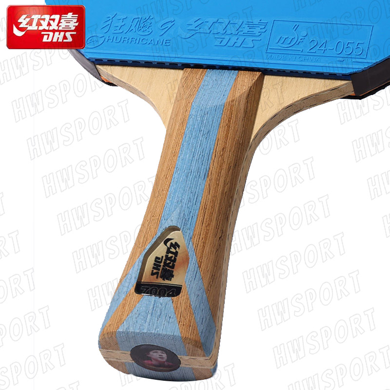 DHS-Raquete de tênis de mesa,  - Table Tennis Padel avaliação e preço