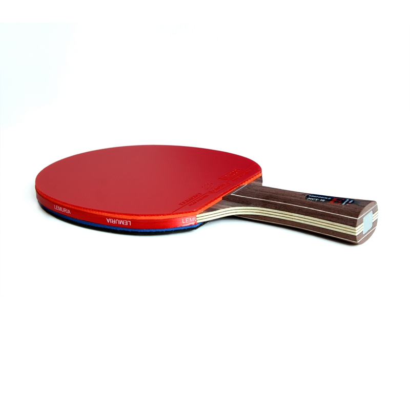 Raquete de Tênis de Mesa Lemur - Table Tennis Padel avaliação e preço