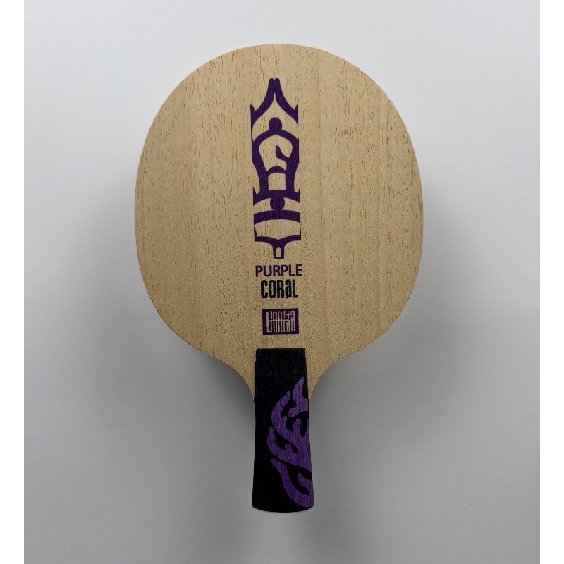 Raquete de Tênis de Mesa Meteo - Table Tennis Paddle avaliação e preço