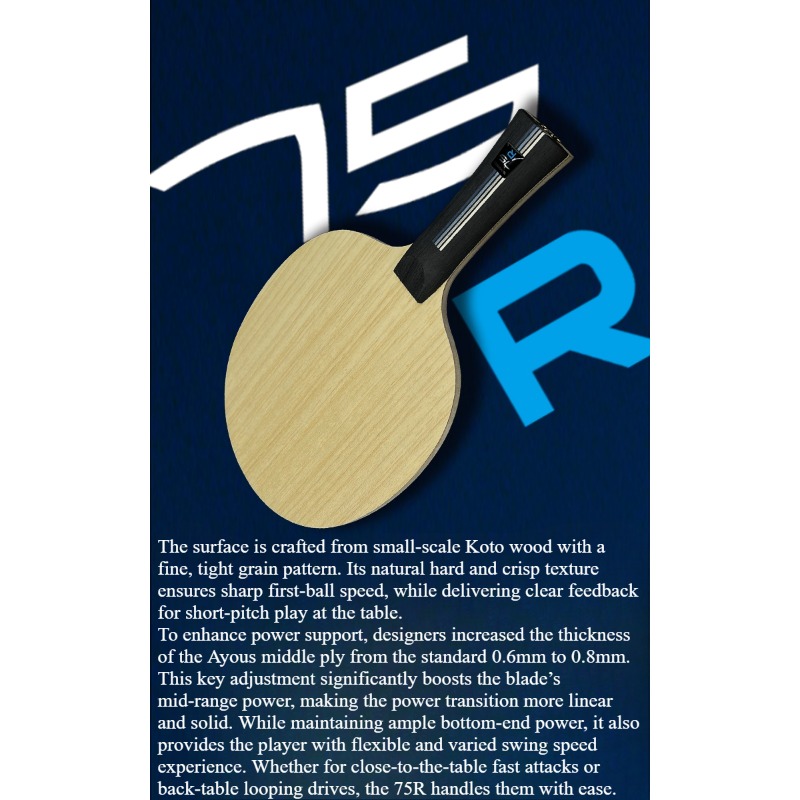Raquete de Tênis de Mesa SANWE - Table Tennis Paddle avaliação e preço